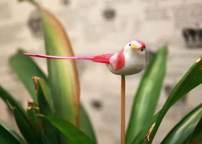 Casas Reais Boutique 3*